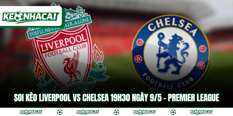 Soi Kèo Liverpool Vs Chelsea 19h30 Ngày 9/5 - Premier League 4 Soi Kèo Liverpool Vs Chelsea 19h30 Ngày 9/5 - Premier League